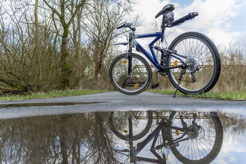 Bicicletta sulla traccia della foresta immagini stock libere da diritti Bicicletta sulla traccia della foresta immagini stock libere da diritti