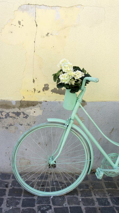 Bicicletta Verde Della Menta Con I Fiori Bianchi Fotografia Stock -  Immagine di azione, sfondo: 44385338