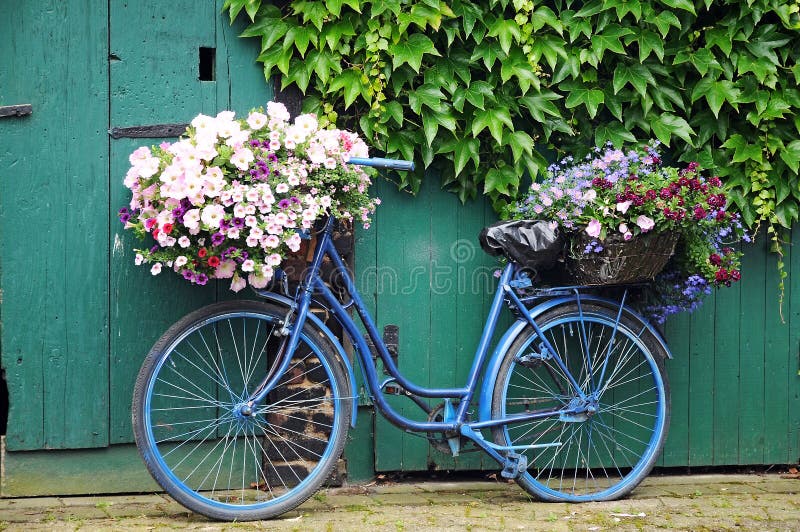 Altes Fahrrad mit Blumen vor der Tür, bewachsen mit Efeu.
