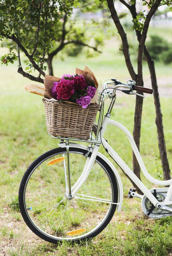 Bicycle with Flowers in Basket Stock Photo Image of bakery, summer