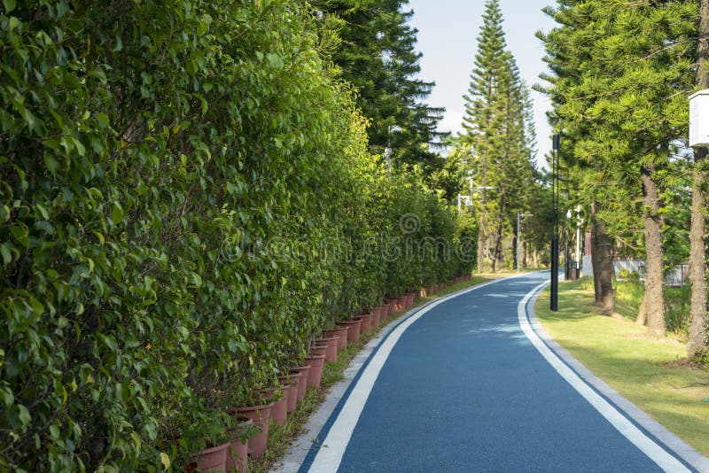 The Bicycle Lanes In Dayun Nature Park Stock Photo Image Of