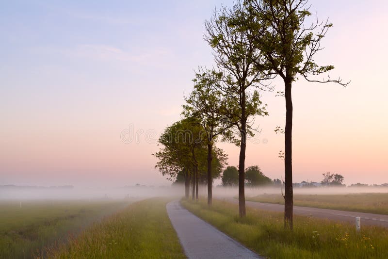 Bicycle path in misty morning