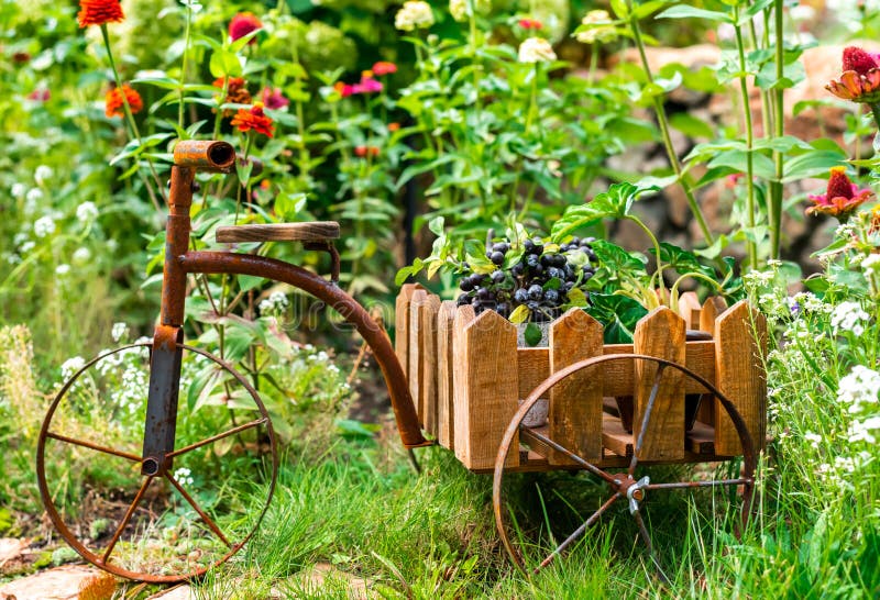 Bicycleshaped Flower Stand on a Flower Bed in the Garden. Stock Image
