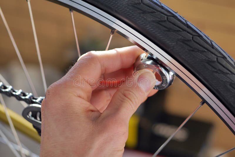 Bicycle Spoke Tension Adjustment Stock Photo Image of adjustment