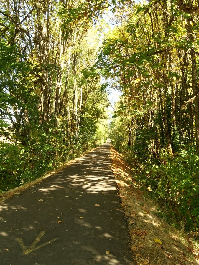 Bicycle Trail Stock Photos Download 24 460 Royalty Free Photos