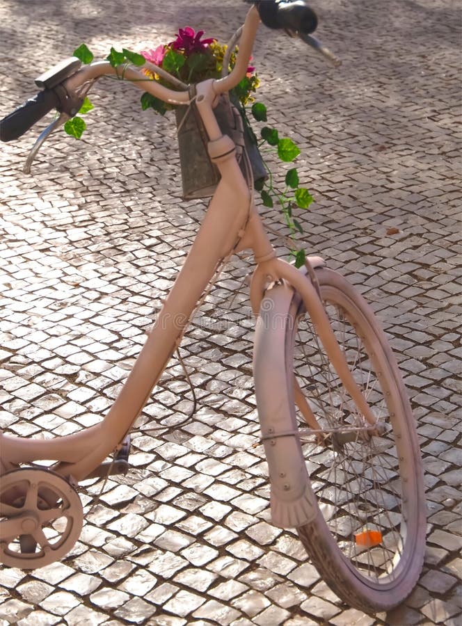 Vintage Bicycle in Cream Color with Flowers in a Basket Stock Photo Image of basket, cream