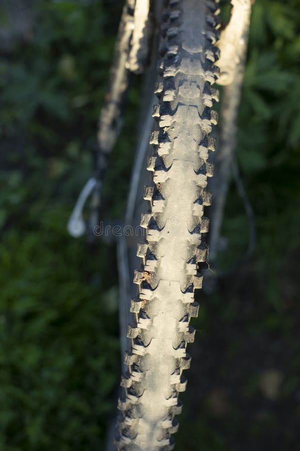 Bicycle Wheel. Wheel Protector Stock Image Image of ride, guardian