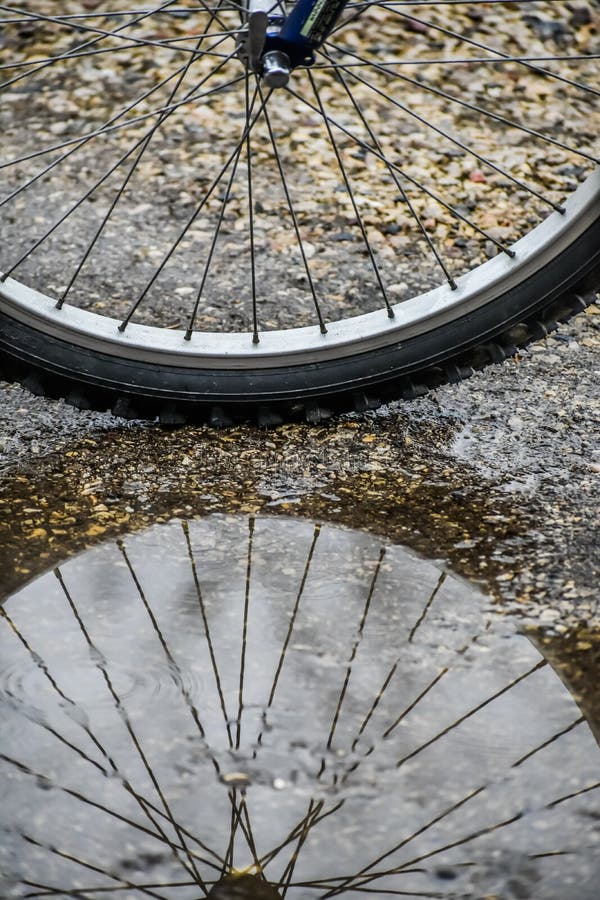Bicycle Wheel in Rain Puddle Stock Photo Image of iron, spoke 209242494