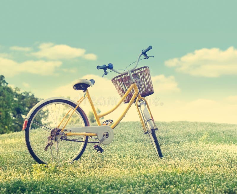 Bicycle на поле и траве белого цветка в предпосылке природы солнечности, тоне пастели и цвета года сбора винограда стоковое изображение rf Bicycle на поле и траве белого цветка в предпосылке природы солнечности, тоне пастели и цвета года сбора винограда стоковое изображение rf
