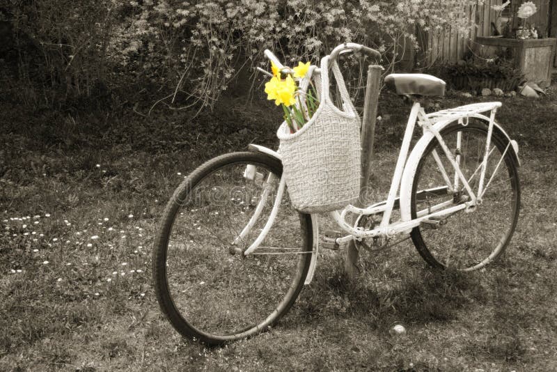 Bicyclette images libres de droits Bicyclette images libres de droits