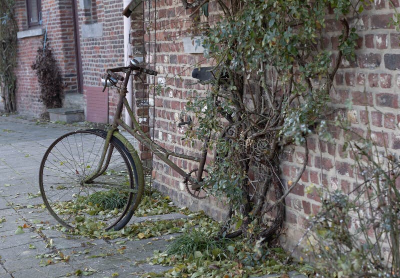 Bicyclette abandonnée contre un mur avec plantes.