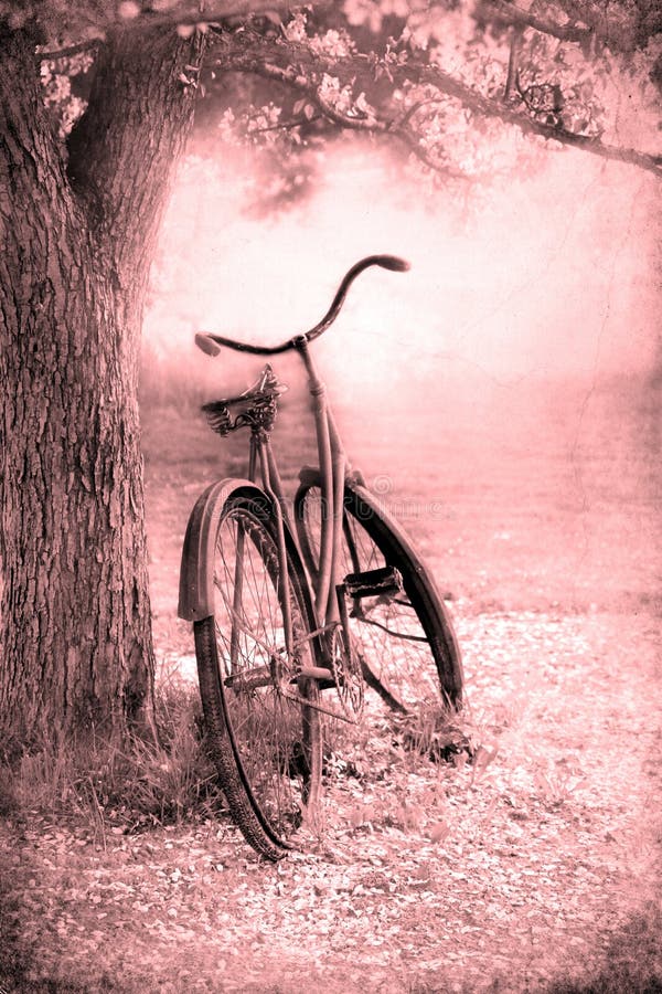 bicyclette paysage
