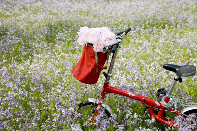 images bicyclette dans les fleurs