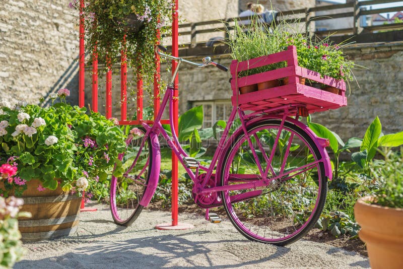 la bicyclette rose societe.com