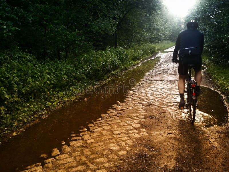 A man bicycling on a sett stone road going through a forest. A man bicycling on a sett stone road going through a forest.