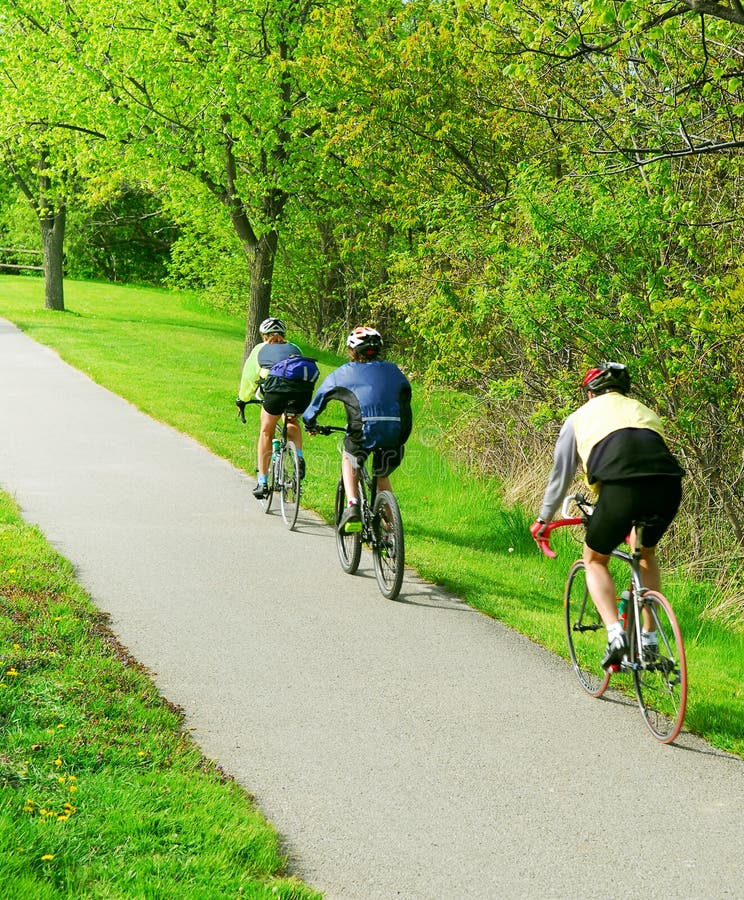 Group of friends bicycling in a summer park. Group of friends bicycling in a summer park