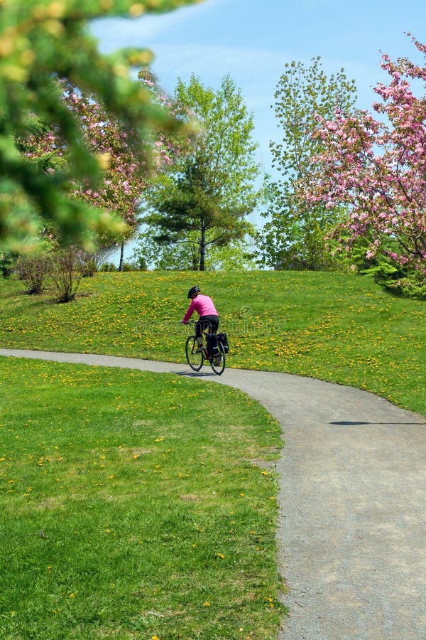 Bicycling in a spring park. Bicycling in a spring park.