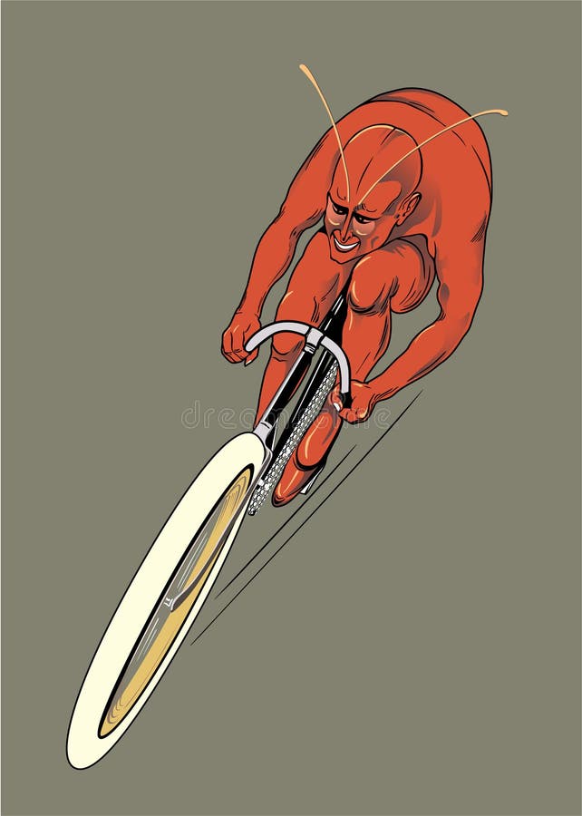 The bicyclist