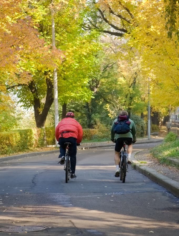 Autumn bicyclists.Warm-up in city park. Autumn bicyclists.Warm-up in city park