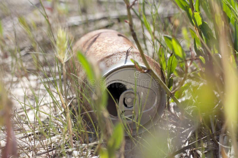 Old beer can in the wild; polution reference. Old beer can in the wild; polution reference