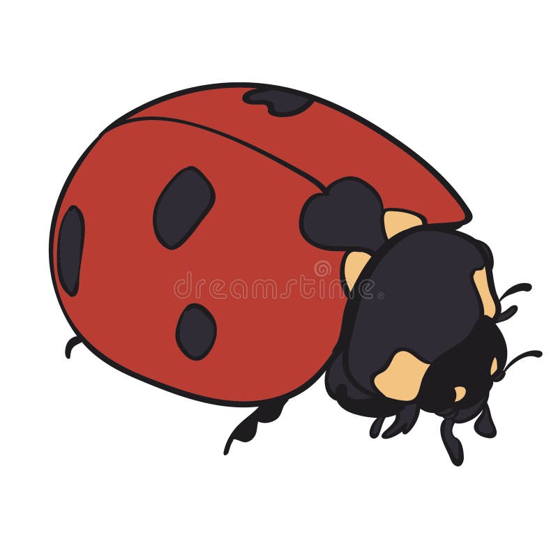 Biedronka insekta wektoru eps ręka rysująca, wektor, Eps, logo, ikona, crafteroks, sylwetki ilustracja dla różnego używa ilustracji Biedronka insekta wektoru eps ręka rysująca, wektor, Eps, logo, ikona, crafteroks, sylwetki ilustracja dla różnego używa ilustracji