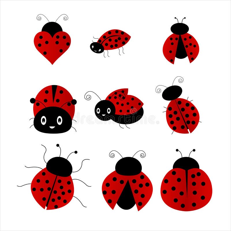 Biedronka ilustracji Biedronka ilustracji