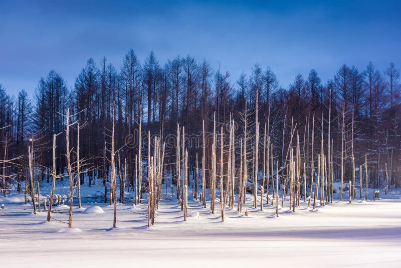 Biei, Japan at Aoike Blue Pond in Winter. Stock Photo Image of