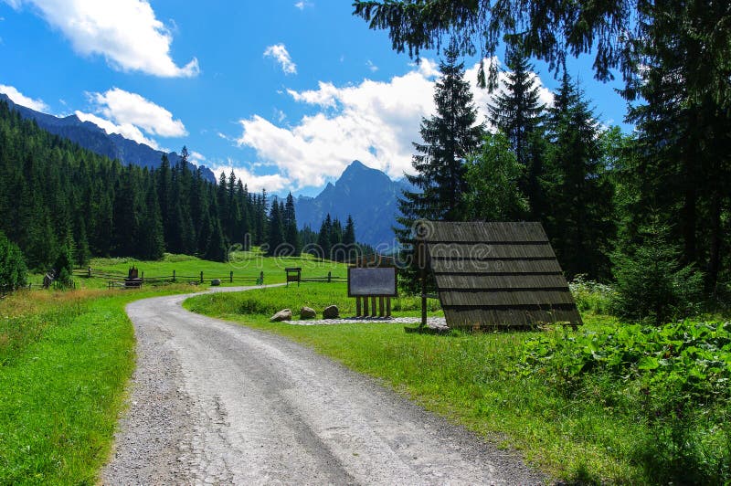 Bielovodska valley. Beautiful summer landscape in the Tatras.