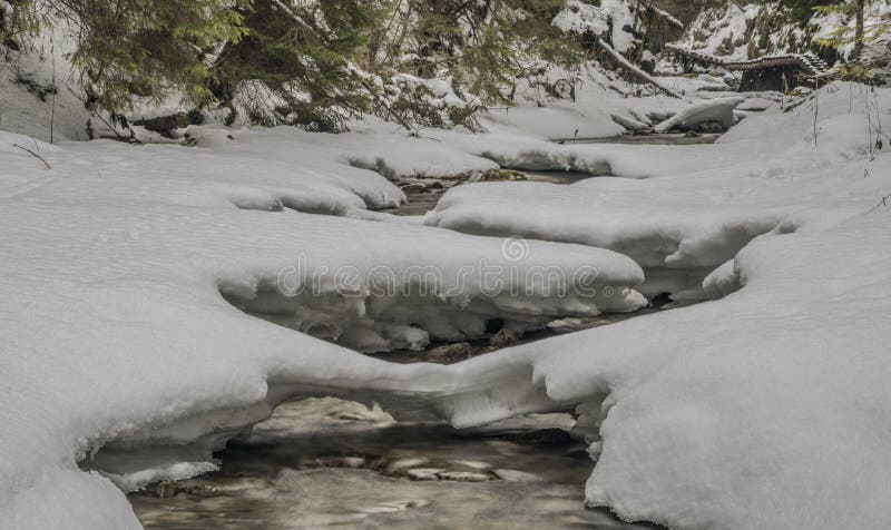 Biely creek with stones and clean water