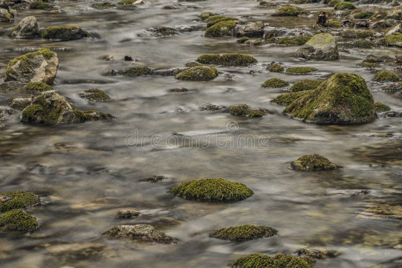 Biely creek with stones and clean water