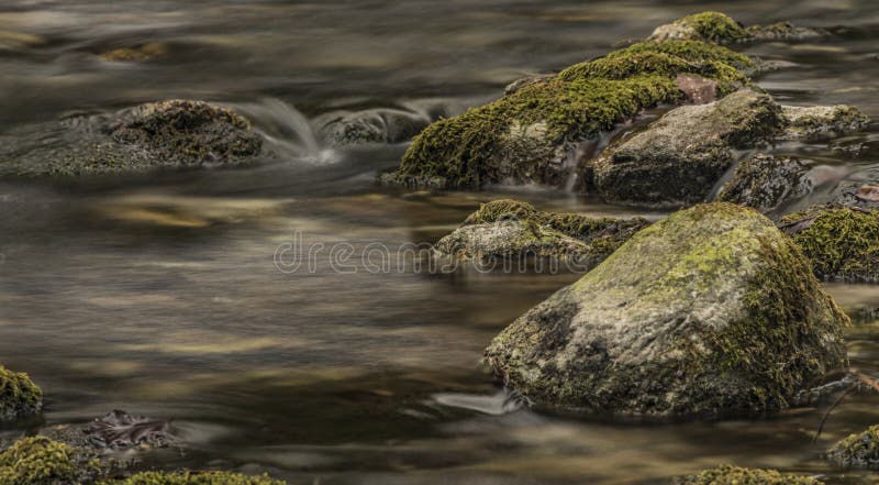 Biely creek with stones and clean water