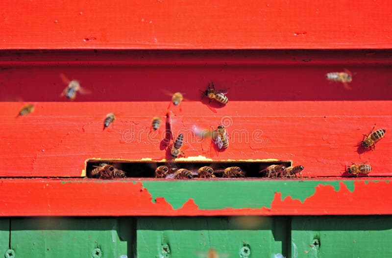 Mobiles Bienenhaus stockbild. Bild von landschaft, bienenstock - 40477109