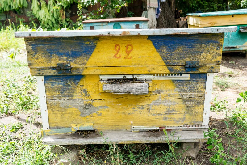 Bienenstock - Das Haus Von Bienen Im Busen Der Natur ...