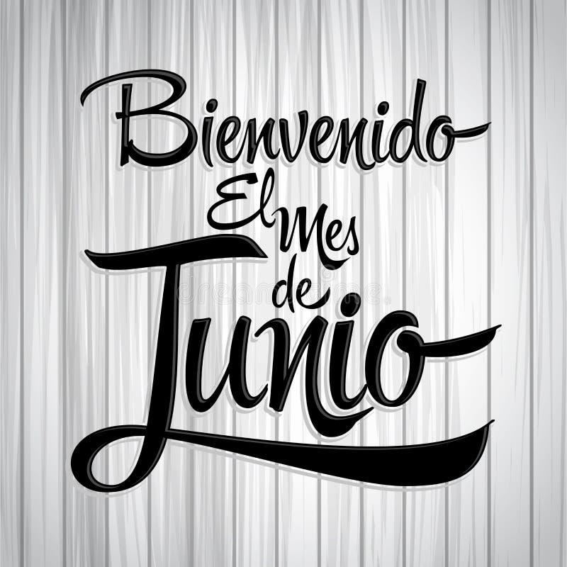 Bienvenido el mes de Junio - Welcome June spanish text, vector lettering message - eps available