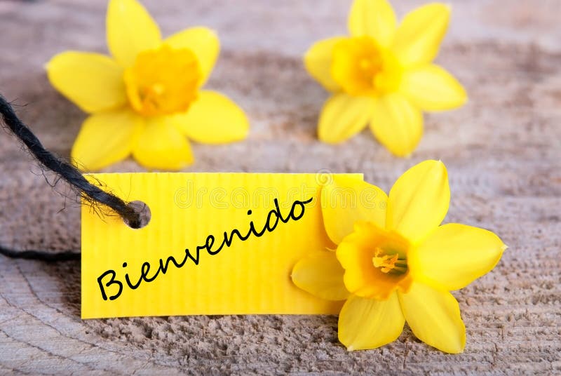 Bienvenidos! (Welcome! In Spanish) Sign With Arrow On Beach Background  Stock Photo, Picture and Royalty Free Image. Image 61777657.