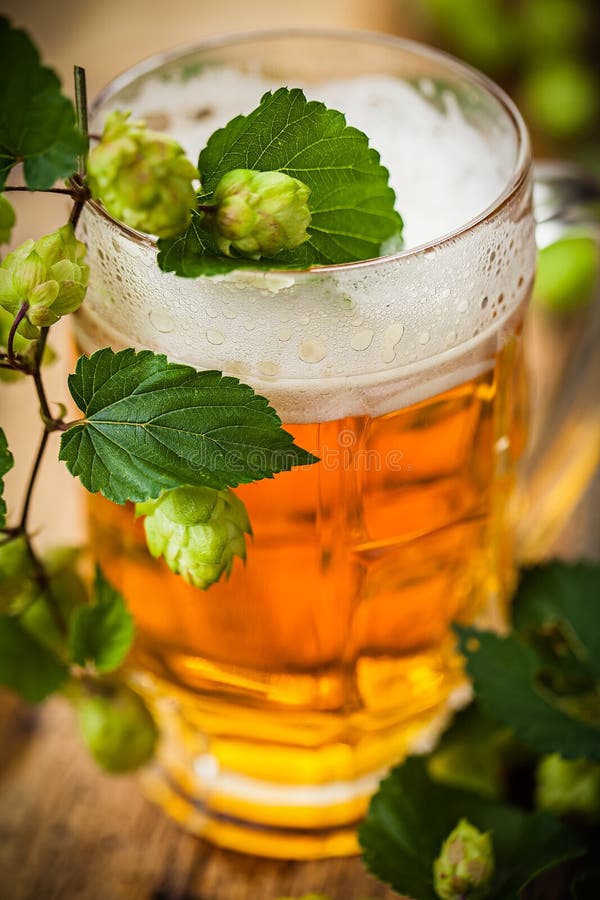 Bier mit Hopfen lizenzfreie stockfotos Bier mit Hopfen lizenzfreie stockfotos