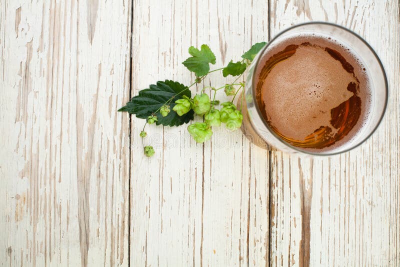 Bierglasplatteansicht Bier und Bierhopfen stockfotografie Bierglasplatteansicht Bier und Bierhopfen stockfotografie