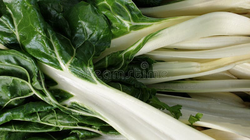 Bietola da coste svizzera immagini stock libere da diritti Bietola da coste svizzera immagini stock libere da diritti