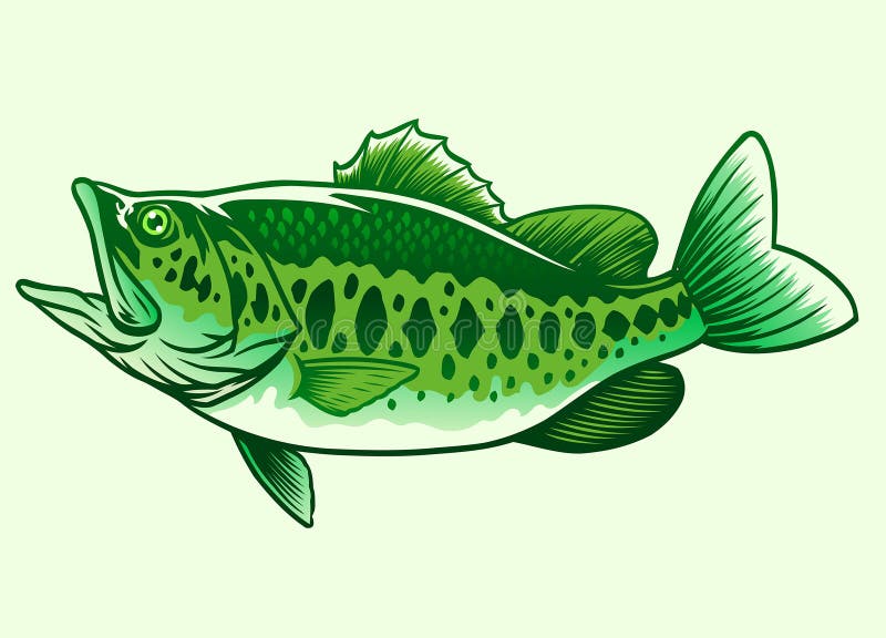 Bass Fish Green Stock Illustrations – 664 Bass Fish Green Stock ...