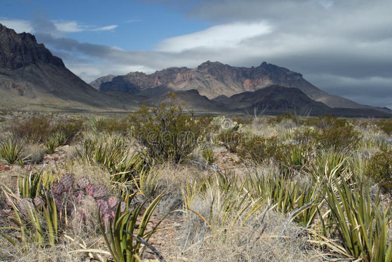 Big Bend National Park stock image. Image of mountain 15537223
