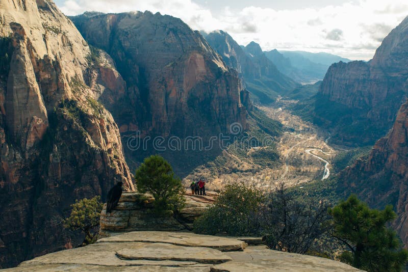 Big bird on Zion National Park in southwestern Utah near the town of Springdale, USA. Big bird Zion National Park is an American national park located in stock images Big bird on Zion National Park in southwestern Utah near the town of Springdale, USA. Big bird Zion National Park is an American national park located in stock images
