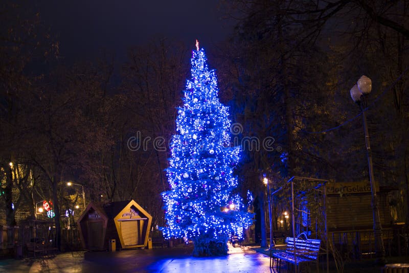 Big Blue Christmas Tree in the Park in the Night Editorial Photography