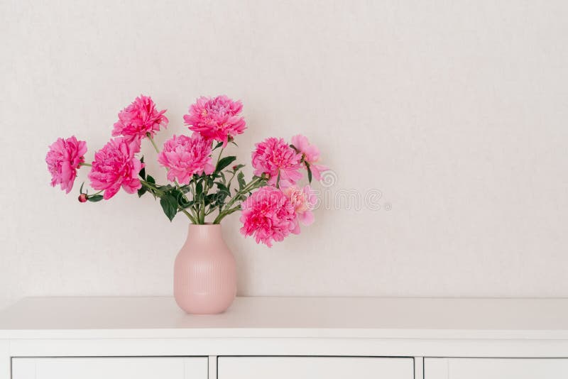 big bouquet of fuchsia peonies in a pink vase in a bright room are on a white chest of drawers. cozy house, fresh flowers at home