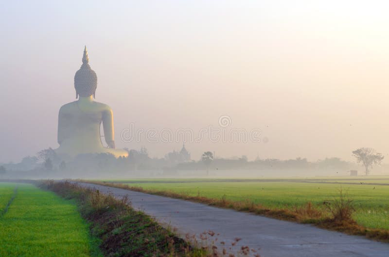 The Big Buddha at Wat Muang Temple with fog and tree, Angthong