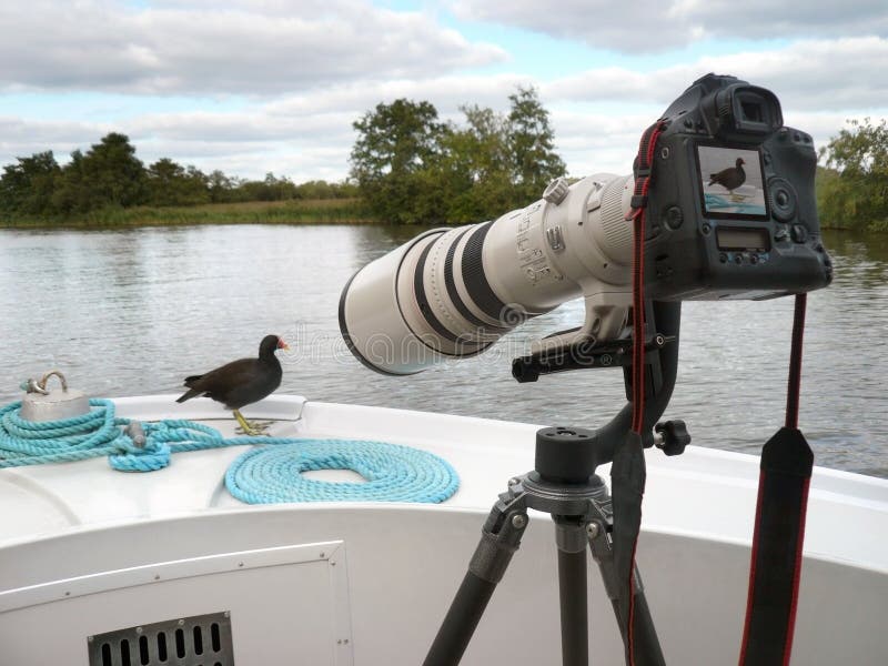 Big Camera & Lens - Moorhen