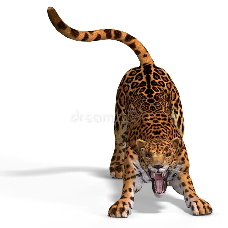 Big Cat Jaguar