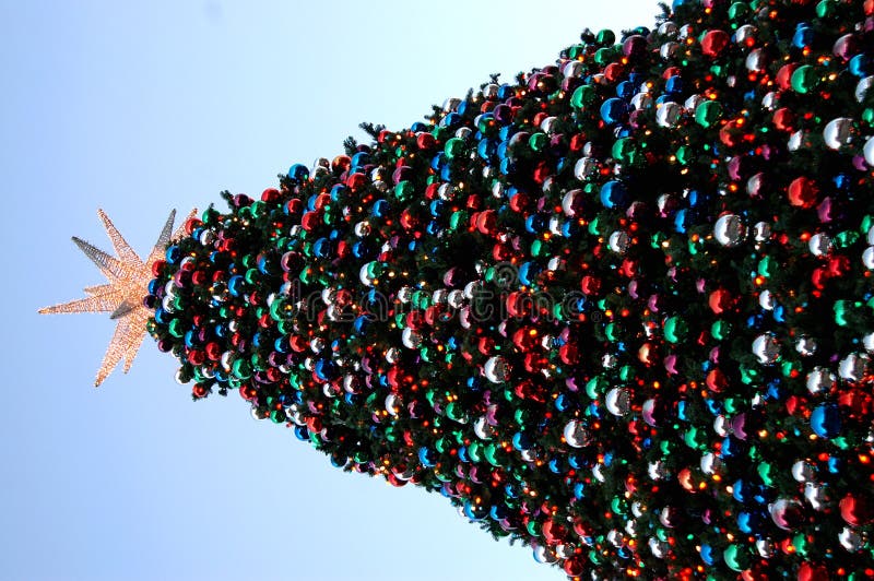 Big Christmas tree stock photo. Image of ornament, outdoor 1642346 Big Christmas Trees