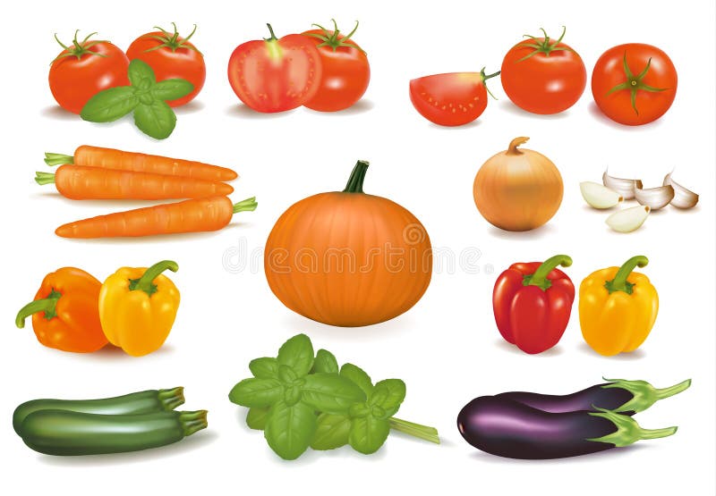 The big colorful collection of vegetables.