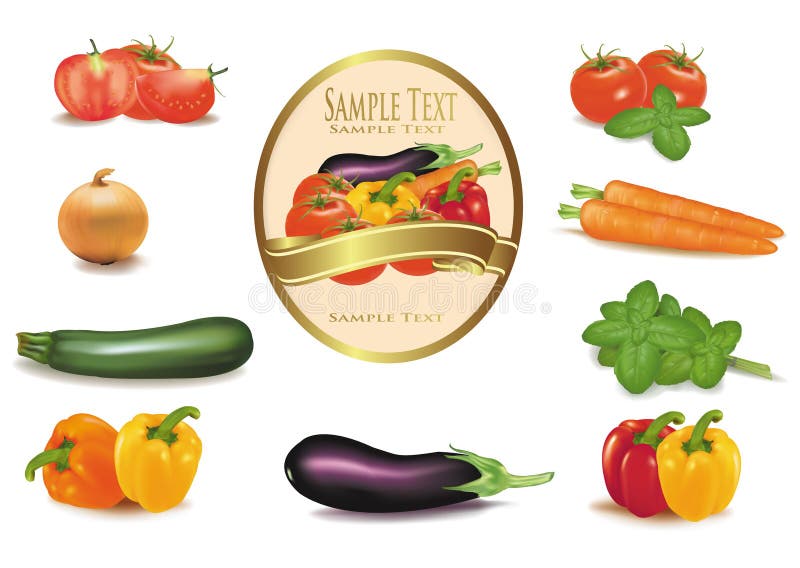 The big colorful group of vegetables and label. stock illustration The big colorful group of vegetables and label. stock illustration