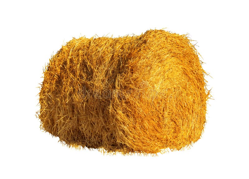 Bale of Hay Isolated on White Stock Photo - Image of livestock, stack ...